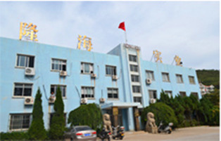 煙臺(tái)隆海造船有限公司用戶案例